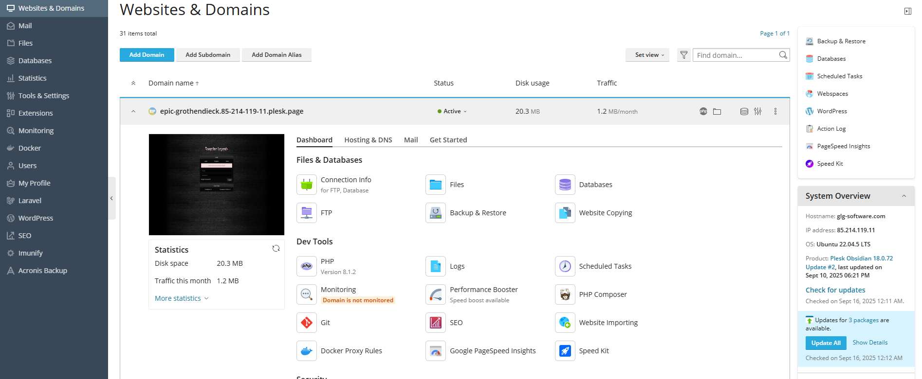 Plesk Control Panel Interface